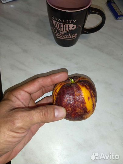 Цитрусовые