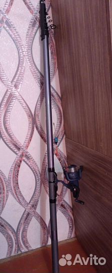 Удочка болонская