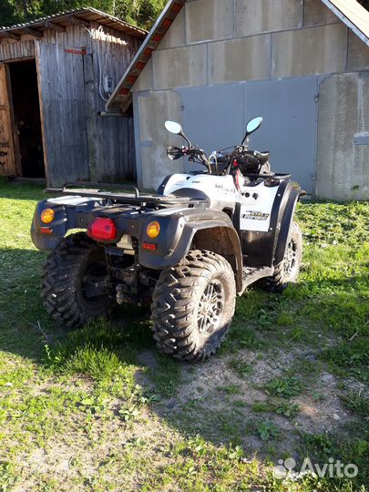 Cнегоболотоход