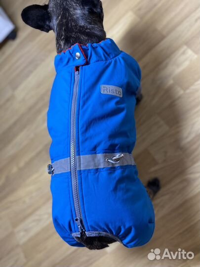 Теплый новый комбинезон для французкого бульдога