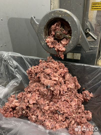 Готовый рацион для кошек