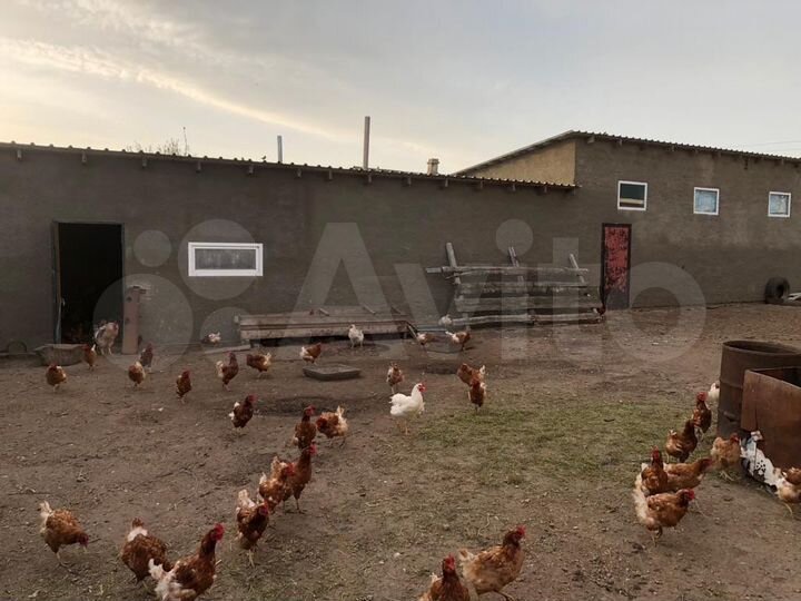 Дом 122,8 м² на участке 15 сот.