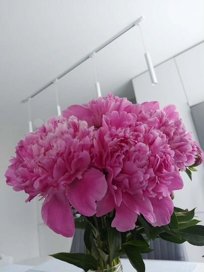 3-к. квартира, 91 м², 2/3 эт.