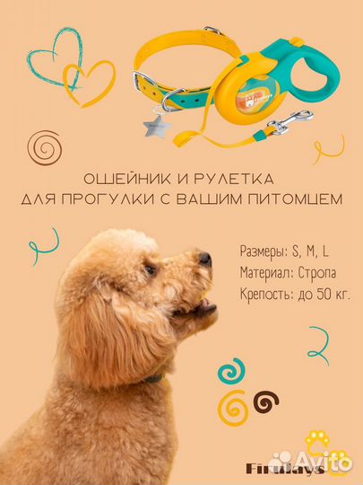 Дизайн, логотип, инфографика, брендбук