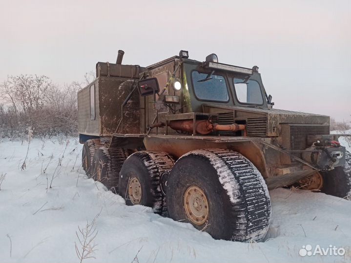 Снегоболотоход 