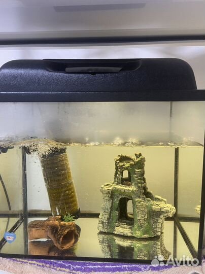 Аквариум с рыбками