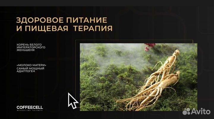 Дегустация