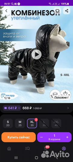 Комбинезон для маленькой собачки