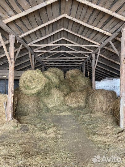 Сено в рулонах, 145 Размер