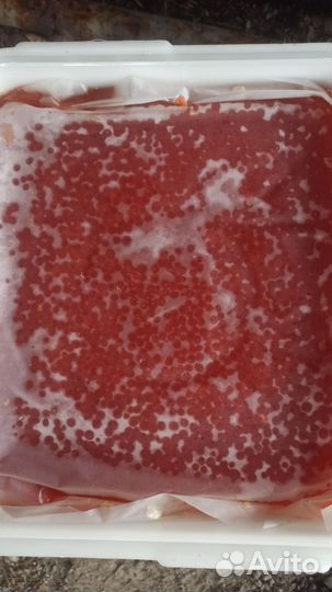 Икра красная оптом и в розницу