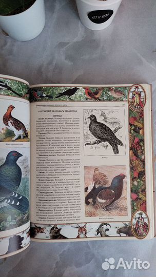 Настольная книга охотника