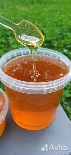 Мёд Лесной (2023)