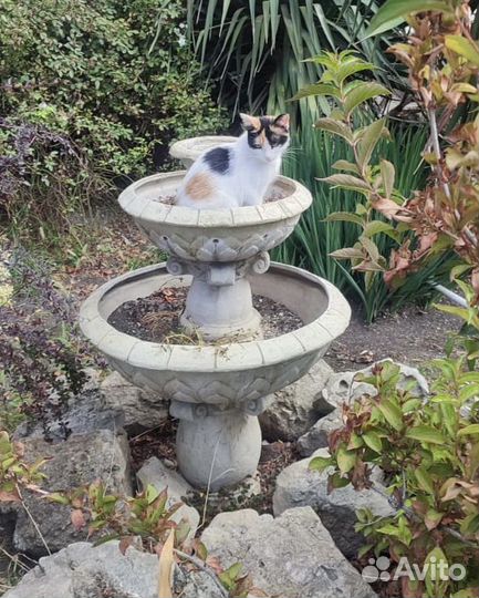 Счастье в дом