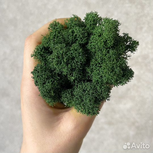 Стабилизированный мох, Зеленый Микс