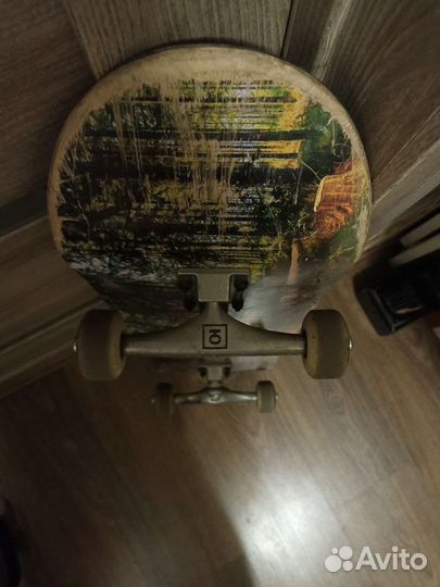 Скейтборд 8.25