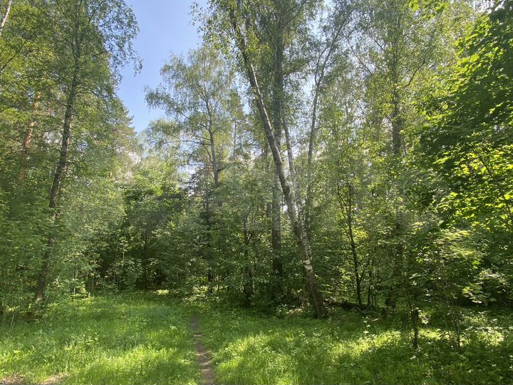 Участок 1,5 га (ИЖС)