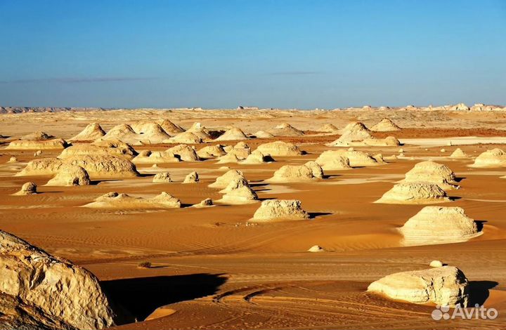 Турпутевка в Египет на 7 ночей