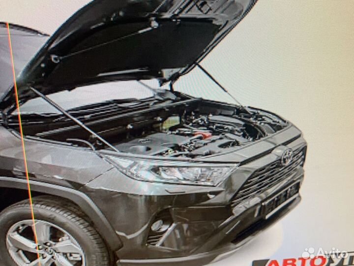 Амортизаторы капота Toyota Rav-4 2019