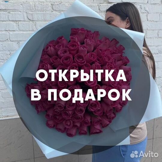 Цветы доставка 101 роза 51 роза 35 25 букет роз