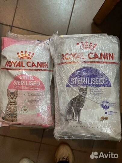 Корм для кошек royal canin 2 кг