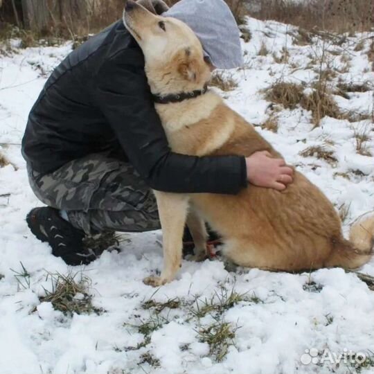 Одна жизнь за двоих