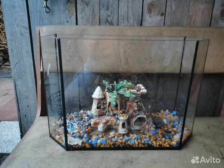 Аквариум