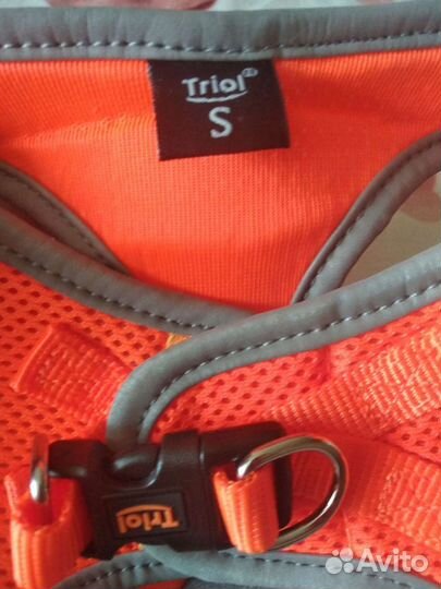 Шлейка и поводок