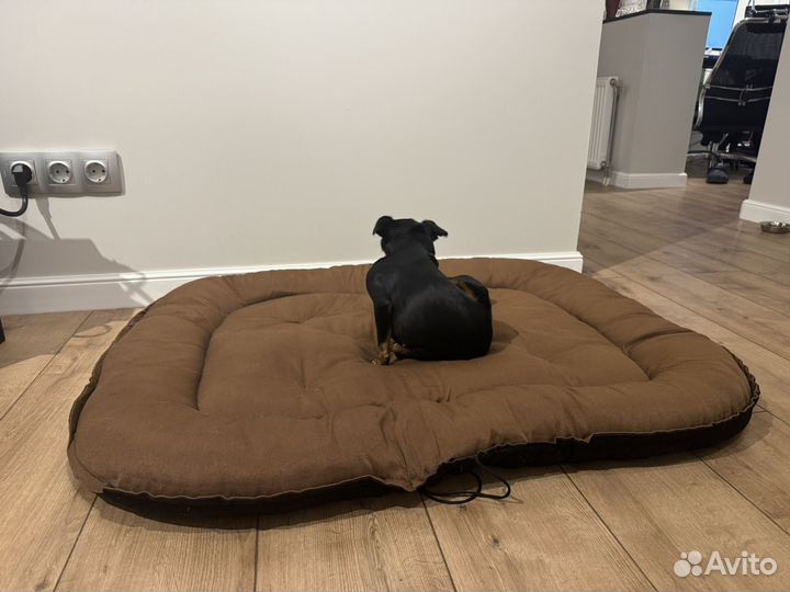 Лежанка для собак