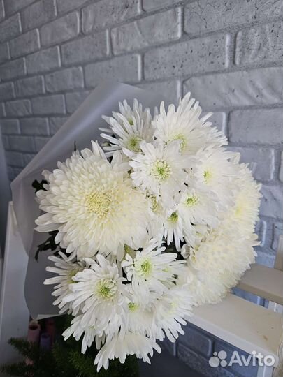 Букет из 5 веточек хризантем