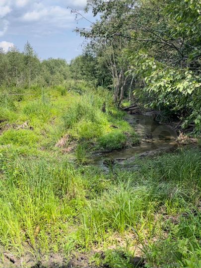 Коттедж 143 м² на участке 80 сот.