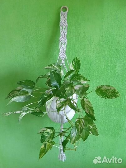 Кашпо подвесное макраме для цветов - 8 вариантов