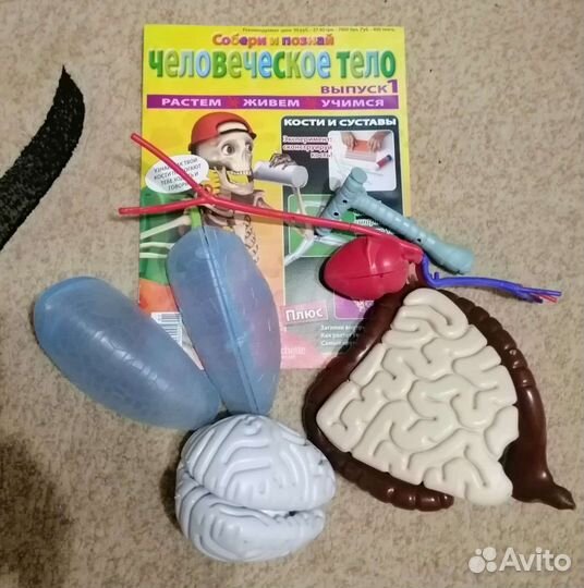 Колекционирование