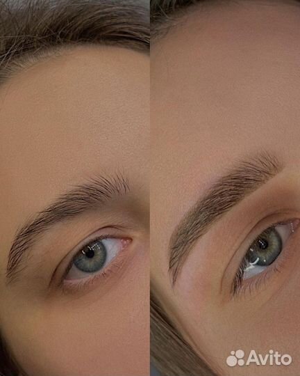 Мастер бровист