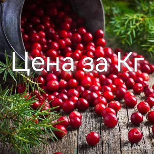 Клюква Брусника за Кг