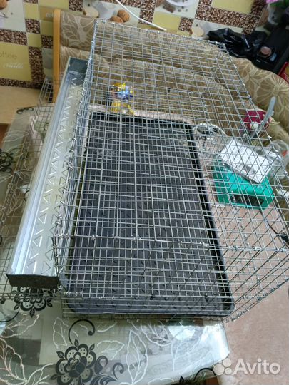 Клетки для перепелов