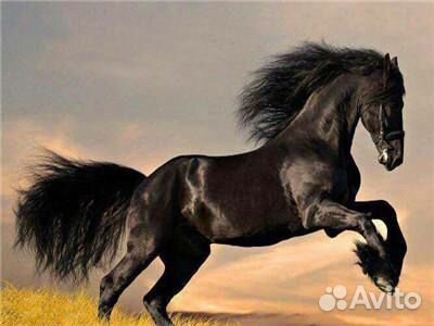 Набор 20*25, 30*40, 45*60 Алмазная вышивка