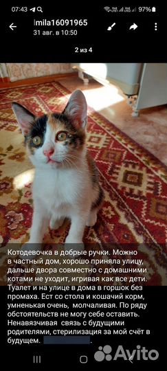 Котодеточка в ответственные ручки