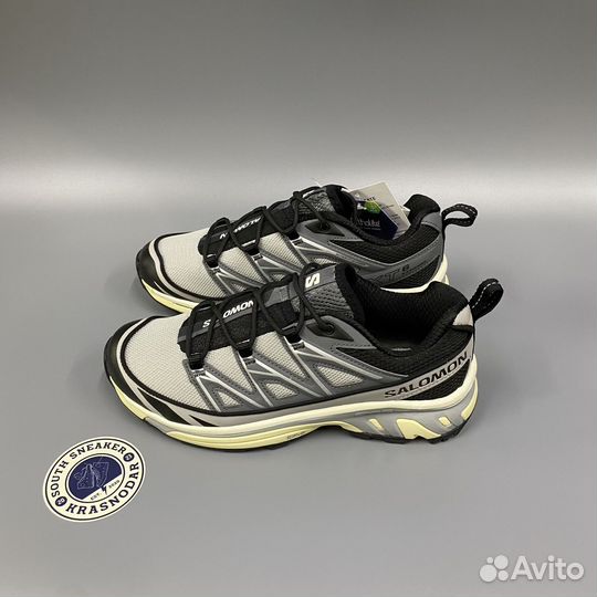 Кроссовки Salomon XT-6 Expanse Alloy Quiet Shade