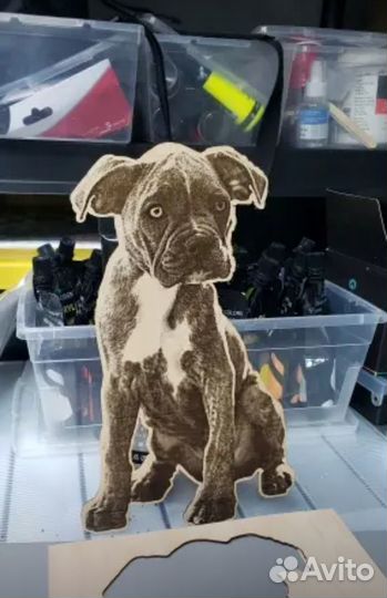 Лазерный гравер с чпу