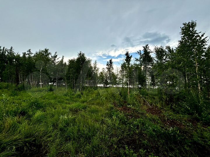 Участок 10 сот. (СНТ, ДНП)