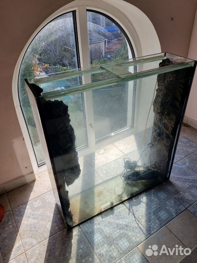 Аквариум,Террариум