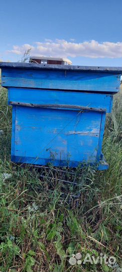 Продам ульи для пчел