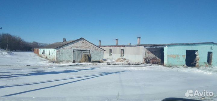 Ферма и сопутствующие строения