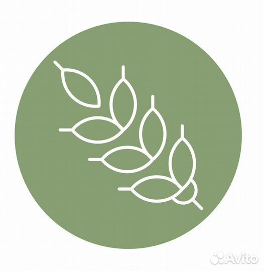 Бариста в кофейню