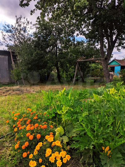 Дача 42 м² на участке 4,8 сот.