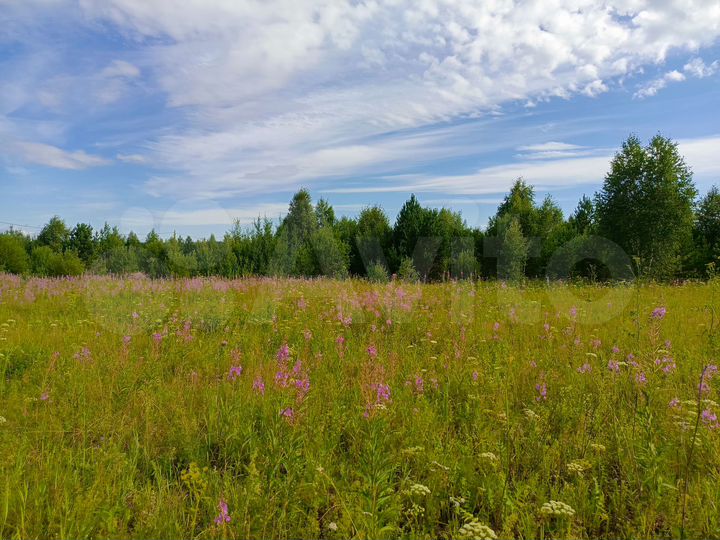 Участок 13,4 сот. (ИЖС)