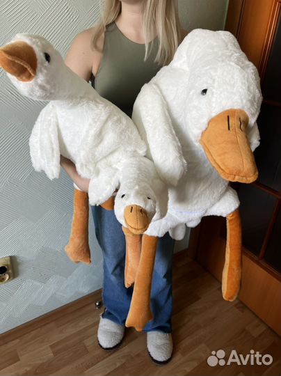 Гусь обнимусь