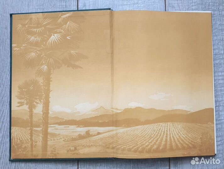 Каталог Чай 1956г