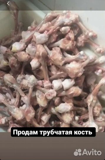 Кости для собак