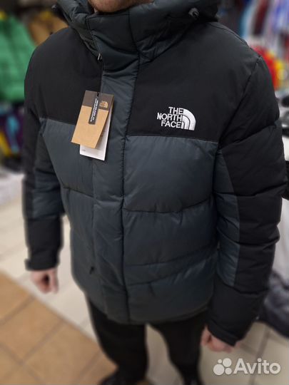 Зимние куртки и пуховики